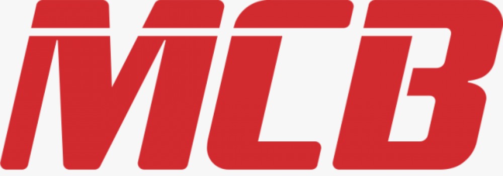 MCB DG164213 2RS Non-standard Ball Bearings, Rubber Sealed 6302-16 16x42x13 mm