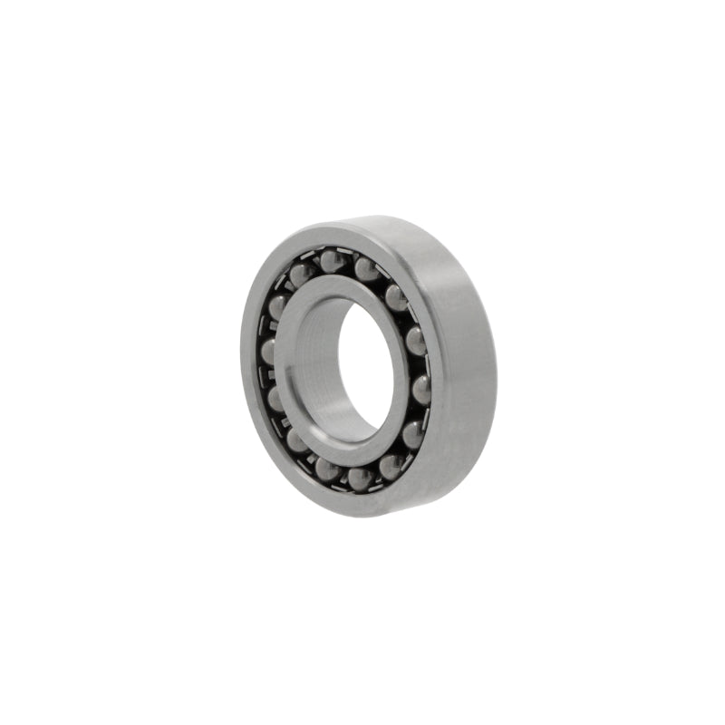 ZEN - Self-aligning ball bearings 1319-0